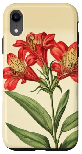 Alstroemeria Floral Vintage Wissenschaftliche Illustration Blume Hülle für iPhone XR Alstroemeria Floral Vintage Wissenschaftliche Illustration Blume Hülle für iPhone XR von Antique Flower Botanical Garden Floral DonaOnca