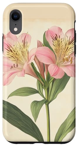 Alstroemeria Floral Vintage Wissenschaftliche Illustration Blume Hülle für iPhone XR Alstroemeria Floral Vintage Wissenschaftliche Illustration Blume Hülle für iPhone XR von Antique Flower Botanical Garden Floral DonaOnca