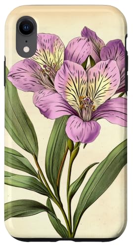 Alstroemeria Floral Vintage Wissenschaftliche Illustration Blume Hülle für iPhone XR Alstroemeria Floral Vintage Wissenschaftliche Illustration Blume Hülle für iPhone XR von Antique Flower Botanical Garden Floral DonaOnca