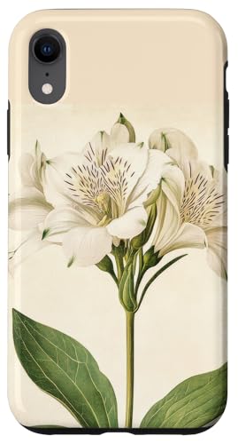 Alstroemeria Floral Vintage Wissenschaftliche Illustration Blume Hülle für iPhone XR Alstroemeria Floral Vintage Wissenschaftliche Illustration Blume Hülle für iPhone XR von Antique Flower Botanical Garden Floral DonaOnca