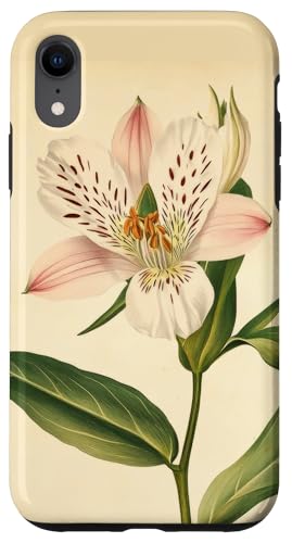 Alstroemeria Floral Vintage Wissenschaftliche Illustration Blume Hülle für iPhone XR Alstroemeria Floral Vintage Wissenschaftliche Illustration Blume Hülle für iPhone XR von Antique Flower Botanical Garden Floral DonaOnca