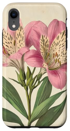 Alstroemeria Floral Vintage Wissenschaftliche Illustration Blume Hülle für iPhone XR Alstroemeria Floral Vintage Wissenschaftliche Illustration Blume Hülle für iPhone XR von Antique Flower Botanical Garden Floral DonaOnca