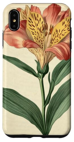 Alstroemeria Floral Vintage Wissenschaftliche Illustration Blume Hülle für iPhone XS Max Alstroemeria Floral Vintage Wissenschaftliche Illustration Blume Hülle für iPhone XS Max von Antique Flower Botanical Garden Floral DonaOnca
