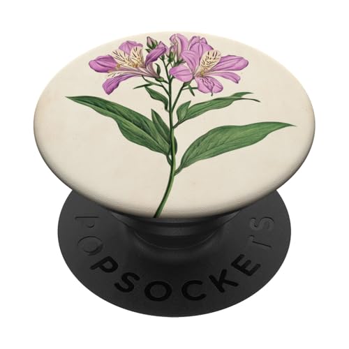 Alstroemeria Floral Vintage Wissenschaftliche Illustration Blume PopSockets Klebender PopGrip Alstroemeria Floral Vintage Wissenschaftliche Illustration Blume PopSockets Klebender PopGrip von Antique Flower Botanical Garden Floral DonaOnca