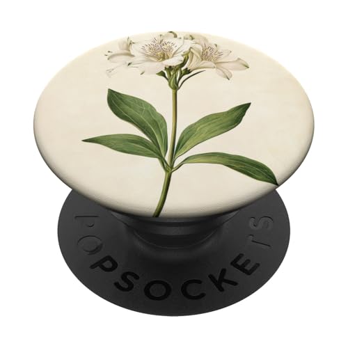 Alstroemeria Floral Vintage Wissenschaftliche Illustration Blume PopSockets Klebender PopGrip Alstroemeria Floral Vintage Wissenschaftliche Illustration Blume PopSockets Klebender PopGrip von Antique Flower Botanical Garden Floral DonaOnca