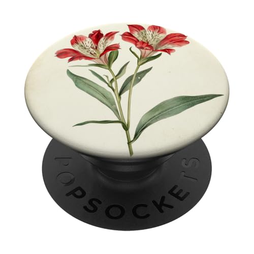 Alstroemeria Floral Vintage Wissenschaftliche Illustration Blume PopSockets Klebender PopGrip Alstroemeria Floral Vintage Wissenschaftliche Illustration Blume PopSockets Klebender PopGrip von Antique Flower Botanical Garden Floral DonaOnca