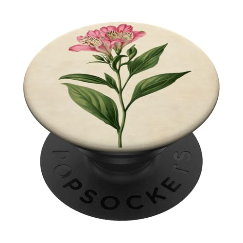 Alstroemeria Floral Vintage Wissenschaftliche Illustration Blume PopSockets Klebender PopGrip Alstroemeria Floral Vintage Wissenschaftliche Illustration Blume PopSockets Klebender PopGrip von Antique Flower Botanical Garden Floral DonaOnca