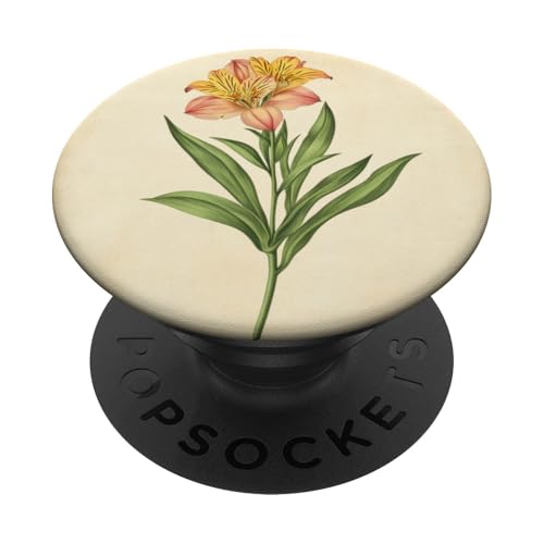 Alstroemeria Floral Vintage Wissenschaftliche Illustration Blume PopSockets Klebender PopGrip Alstroemeria Floral Vintage Wissenschaftliche Illustration Blume PopSockets Klebender PopGrip von Antique Flower Botanical Garden Floral DonaOnca