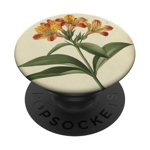Alstroemeria Floral Vintage Wissenschaftliche Illustration Blume PopSockets Klebender PopGrip Alstroemeria Floral Vintage Wissenschaftliche Illustration Blume PopSockets Klebender PopGrip von Antique Flower Botanical Garden Floral DonaOnca