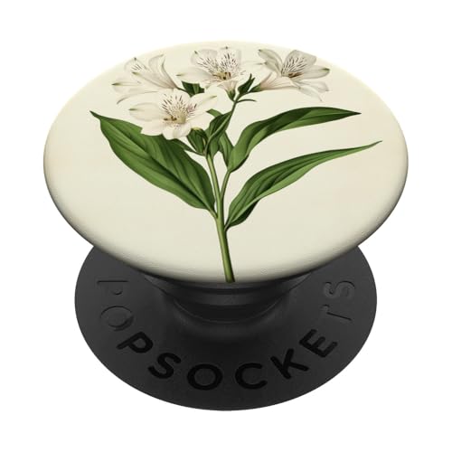 Alstroemeria Floral Vintage Wissenschaftliche Illustration Blume PopSockets Klebender PopGrip Alstroemeria Floral Vintage Wissenschaftliche Illustration Blume PopSockets Klebender PopGrip von Antique Flower Botanical Garden Floral DonaOnca
