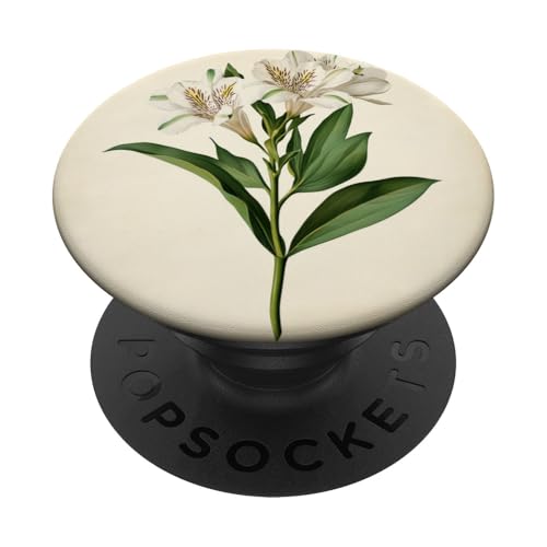 Alstroemeria Floral Vintage Wissenschaftliche Illustration Blume PopSockets Klebender PopGrip Alstroemeria Floral Vintage Wissenschaftliche Illustration Blume PopSockets Klebender PopGrip von Antique Flower Botanical Garden Floral DonaOnca