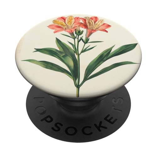 Alstroemeria Floral Vintage Wissenschaftliche Illustration Blume PopSockets Klebender PopGrip Alstroemeria Floral Vintage Wissenschaftliche Illustration Blume PopSockets Klebender PopGrip von Antique Flower Botanical Garden Floral DonaOnca
