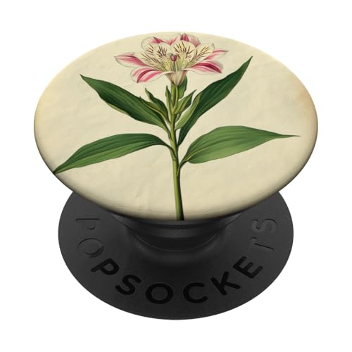 Alstroemeria Floral Vintage Wissenschaftliche Illustration Blume PopSockets Klebender PopGrip Alstroemeria Floral Vintage Wissenschaftliche Illustration Blume PopSockets Klebender PopGrip von Antique Flower Botanical Garden Floral DonaOnca