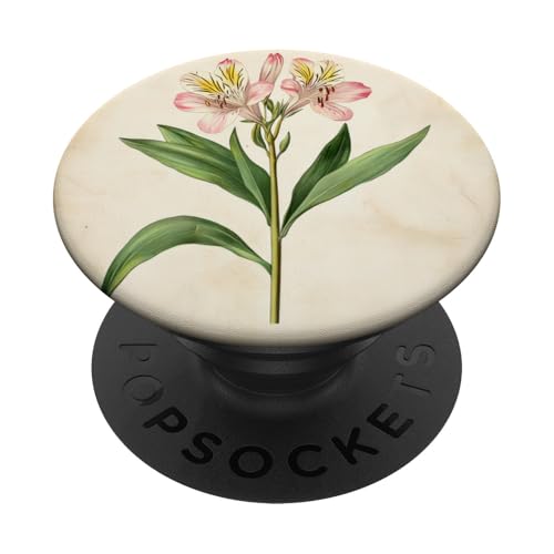 Alstroemeria Floral Vintage Wissenschaftliche Illustration Blume PopSockets Klebender PopGrip Alstroemeria Floral Vintage Wissenschaftliche Illustration Blume PopSockets Klebender PopGrip von Antique Flower Botanical Garden Floral DonaOnca
