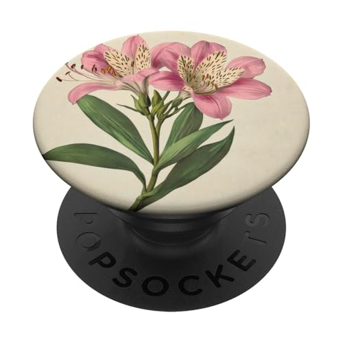 Alstroemeria Floral Vintage Wissenschaftliche Illustration Blume PopSockets Klebender PopGrip von Antique Flower Botanical Garden Floral DonaOnca