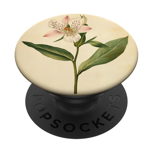 Alstroemeria Floral Vintage Wissenschaftliche Illustration Blume PopSockets Klebender PopGrip Alstroemeria Floral Vintage Wissenschaftliche Illustration Blume PopSockets Klebender PopGrip von Antique Flower Botanical Garden Floral DonaOnca