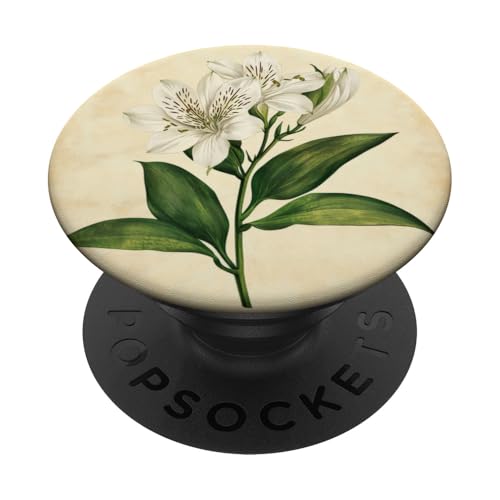 Alstroemeria Floral Vintage Wissenschaftliche Illustration Blume PopSockets Klebender PopGrip Alstroemeria Floral Vintage Wissenschaftliche Illustration Blume PopSockets Klebender PopGrip von Antique Flower Botanical Garden Floral DonaOnca