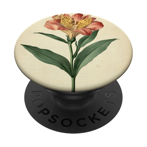 Alstroemeria Floral Vintage Wissenschaftliche Illustration Blume PopSockets Klebender PopGrip Alstroemeria Floral Vintage Wissenschaftliche Illustration Blume PopSockets Klebender PopGrip von Antique Flower Botanical Garden Floral DonaOnca
