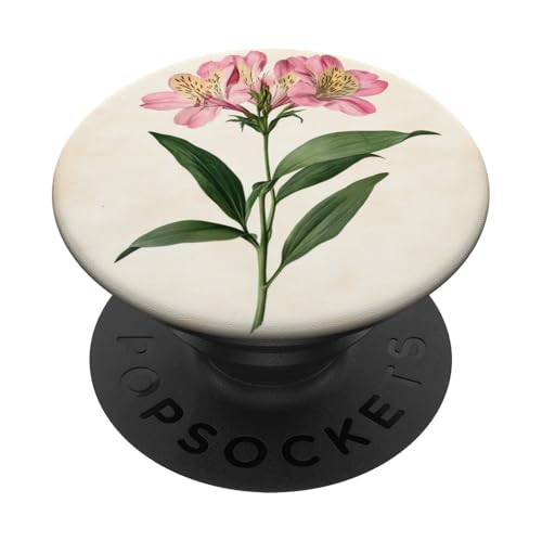 Alstroemeria Floral Vintage Wissenschaftliche Illustration Blume PopSockets Klebender PopGrip Alstroemeria Floral Vintage Wissenschaftliche Illustration Blume PopSockets Klebender PopGrip von Antique Flower Botanical Garden Floral DonaOnca