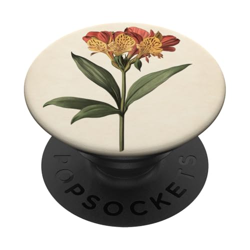 Alstroemeria Floral Vintage Wissenschaftliche Illustration Blume PopSockets Klebender PopGrip Alstroemeria Floral Vintage Wissenschaftliche Illustration Blume PopSockets Klebender PopGrip von Antique Flower Botanical Garden Floral DonaOnca