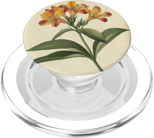 Alstroemeria Floral Vintage Wissenschaftliche Illustration Blume PopSockets PopGrip für MagSafe Alstroemeria Floral Vintage Wissenschaftliche Illustration Blume PopSockets PopGrip für MagSafe von Antique Flower Botanical Garden Floral DonaOnca