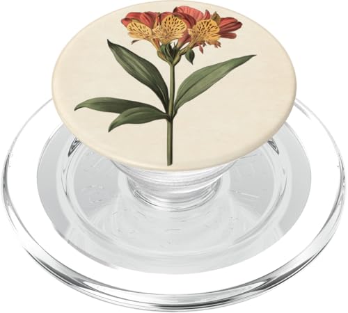 Alstroemeria Floral Vintage Wissenschaftliche Illustration Blume PopSockets PopGrip für MagSafe Alstroemeria Floral Vintage Wissenschaftliche Illustration Blume PopSockets PopGrip für MagSafe von Antique Flower Botanical Garden Floral DonaOnca