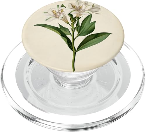 Alstroemeria Floral Vintage Wissenschaftliche Illustration Blume PopSockets PopGrip für MagSafe Alstroemeria Floral Vintage Wissenschaftliche Illustration Blume PopSockets PopGrip für MagSafe von Antique Flower Botanical Garden Floral DonaOnca
