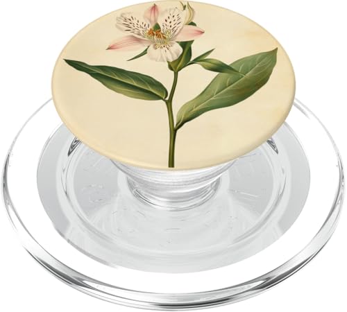 Alstroemeria Floral Vintage Wissenschaftliche Illustration Blume PopSockets PopGrip für MagSafe Alstroemeria Floral Vintage Wissenschaftliche Illustration Blume PopSockets PopGrip für MagSafe von Antique Flower Botanical Garden Floral DonaOnca