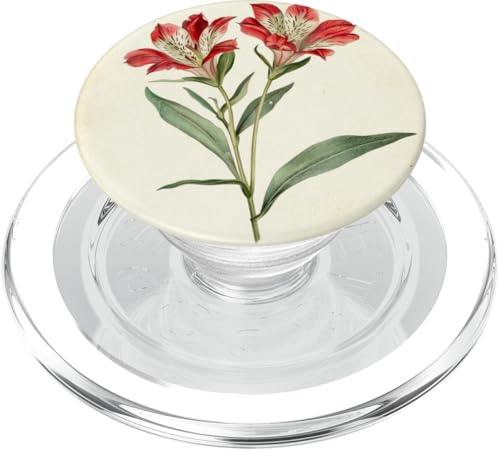 Alstroemeria Floral Vintage Wissenschaftliche Illustration Blume PopSockets PopGrip für MagSafe Alstroemeria Floral Vintage Wissenschaftliche Illustration Blume PopSockets PopGrip für MagSafe von Antique Flower Botanical Garden Floral DonaOnca