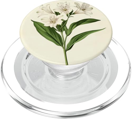 Alstroemeria Floral Vintage Wissenschaftliche Illustration Blume PopSockets PopGrip für MagSafe Alstroemeria Floral Vintage Wissenschaftliche Illustration Blume PopSockets PopGrip für MagSafe von Antique Flower Botanical Garden Floral DonaOnca