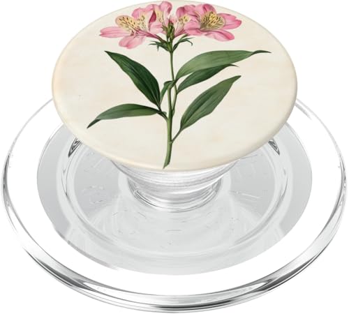 Alstroemeria Floral Vintage Wissenschaftliche Illustration Blume PopSockets PopGrip für MagSafe Alstroemeria Floral Vintage Wissenschaftliche Illustration Blume PopSockets PopGrip für MagSafe von Antique Flower Botanical Garden Floral DonaOnca