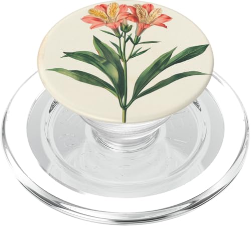 Alstroemeria Floral Vintage Wissenschaftliche Illustration Blume PopSockets PopGrip für MagSafe Alstroemeria Floral Vintage Wissenschaftliche Illustration Blume PopSockets PopGrip für MagSafe von Antique Flower Botanical Garden Floral DonaOnca