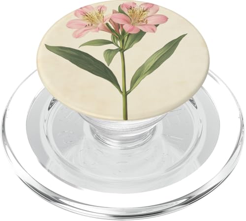 Alstroemeria Floral Vintage Wissenschaftliche Illustration Blume PopSockets PopGrip für MagSafe Alstroemeria Floral Vintage Wissenschaftliche Illustration Blume PopSockets PopGrip für MagSafe von Antique Flower Botanical Garden Floral DonaOnca