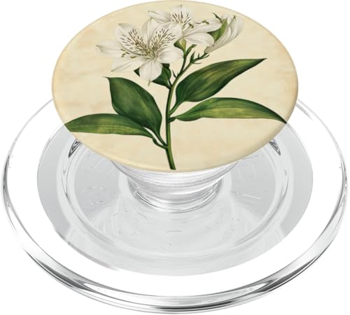 Alstroemeria Floral Vintage Wissenschaftliche Illustration Blume PopSockets PopGrip für MagSafe Alstroemeria Floral Vintage Wissenschaftliche Illustration Blume PopSockets PopGrip für MagSafe von Antique Flower Botanical Garden Floral DonaOnca