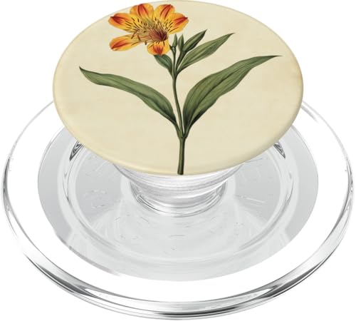 Alstroemeria Floral Vintage Wissenschaftliche Illustration Blume PopSockets PopGrip für MagSafe Alstroemeria Floral Vintage Wissenschaftliche Illustration Blume PopSockets PopGrip für MagSafe von Antique Flower Botanical Garden Floral DonaOnca