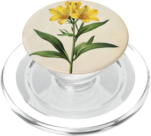 Alstroemeria Floral Vintage Wissenschaftliche Illustration Blume PopSockets PopGrip für MagSafe Alstroemeria Floral Vintage Wissenschaftliche Illustration Blume PopSockets PopGrip für MagSafe von Antique Flower Botanical Garden Floral DonaOnca