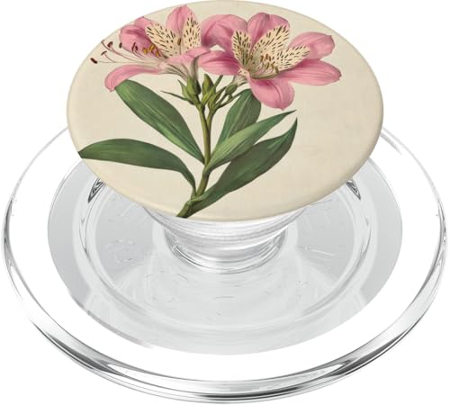 Alstroemeria Floral Vintage Wissenschaftliche Illustration Blume PopSockets PopGrip für MagSafe Alstroemeria Floral Vintage Wissenschaftliche Illustration Blume PopSockets PopGrip für MagSafe von Antique Flower Botanical Garden Floral DonaOnca