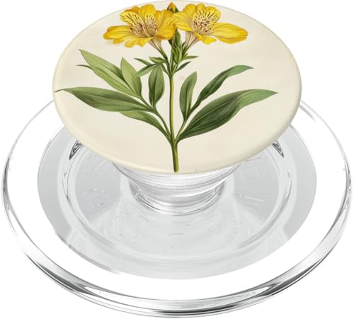 Alstroemeria Floral Vintage Wissenschaftliche Illustration Blume PopSockets PopGrip für MagSafe Alstroemeria Floral Vintage Wissenschaftliche Illustration Blume PopSockets PopGrip für MagSafe von Antique Flower Botanical Garden Floral DonaOnca