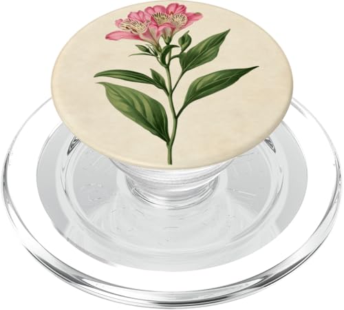 Alstroemeria Floral Vintage Wissenschaftliche Illustration Blume PopSockets PopGrip für MagSafe Alstroemeria Floral Vintage Wissenschaftliche Illustration Blume PopSockets PopGrip für MagSafe von Antique Flower Botanical Garden Floral DonaOnca