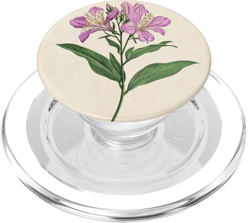 Alstroemeria Floral Vintage Wissenschaftliche Illustration Blume PopSockets PopGrip für MagSafe Alstroemeria Floral Vintage Wissenschaftliche Illustration Blume PopSockets PopGrip für MagSafe von Antique Flower Botanical Garden Floral DonaOnca