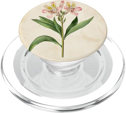 Alstroemeria Floral Vintage Wissenschaftliche Illustration Blume PopSockets PopGrip für MagSafe Alstroemeria Floral Vintage Wissenschaftliche Illustration Blume PopSockets PopGrip für MagSafe von Antique Flower Botanical Garden Floral DonaOnca
