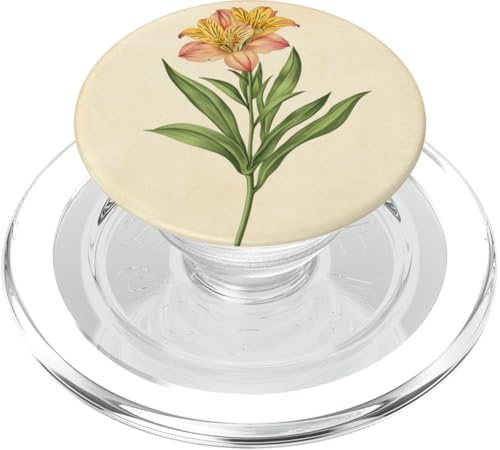 Alstroemeria Floral Vintage Wissenschaftliche Illustration Blume PopSockets PopGrip für MagSafe Alstroemeria Floral Vintage Wissenschaftliche Illustration Blume PopSockets PopGrip für MagSafe von Antique Flower Botanical Garden Floral DonaOnca