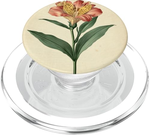 Alstroemeria Floral Vintage Wissenschaftliche Illustration Blume PopSockets PopGrip für MagSafe Alstroemeria Floral Vintage Wissenschaftliche Illustration Blume PopSockets PopGrip für MagSafe von Antique Flower Botanical Garden Floral DonaOnca