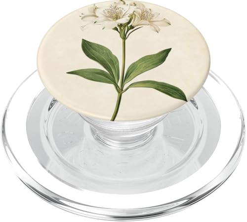 Alstroemeria Floral Vintage Wissenschaftliche Illustration Blume PopSockets PopGrip für MagSafe Alstroemeria Floral Vintage Wissenschaftliche Illustration Blume PopSockets PopGrip für MagSafe von Antique Flower Botanical Garden Floral DonaOnca