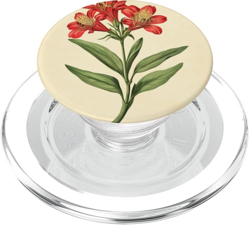 Alstroemeria Floral Vintage Wissenschaftliche Illustration Blume PopSockets PopGrip für MagSafe Alstroemeria Floral Vintage Wissenschaftliche Illustration Blume PopSockets PopGrip für MagSafe von Antique Flower Botanical Garden Floral DonaOnca