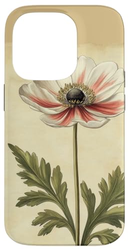 Anemone Floral Vintage Wissenschaftliche Illustration Blume Hülle für iPhone 14 Pro Anemone Floral Vintage Wissenschaftliche Illustration Blume Hülle für iPhone 14 Pro von Antique Flower Botanical Garden Floral DonaOnca