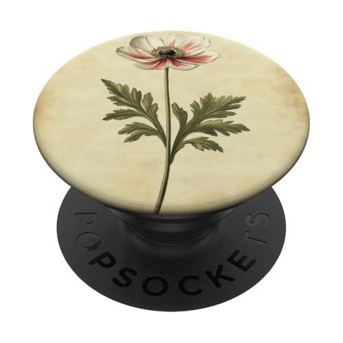 Anemone Floral Vintage Wissenschaftliche Illustration Blume PopSockets Klebender PopGrip Anemone Floral Vintage Wissenschaftliche Illustration Blume PopSockets Klebender PopGrip von Antique Flower Botanical Garden Floral DonaOnca