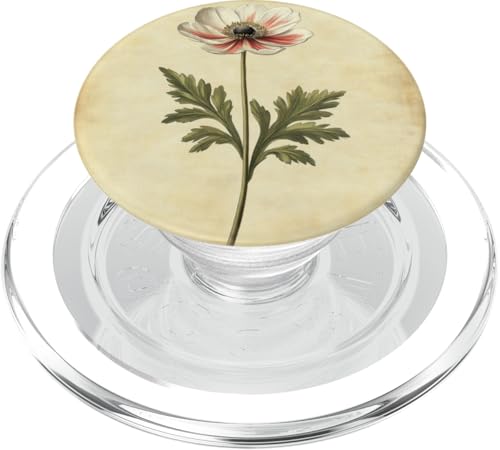 Anemone Floral Vintage Wissenschaftliche Illustration Blume PopSockets PopGrip für MagSafe Anemone Floral Vintage Wissenschaftliche Illustration Blume PopSockets PopGrip für MagSafe von Antique Flower Botanical Garden Floral DonaOnca