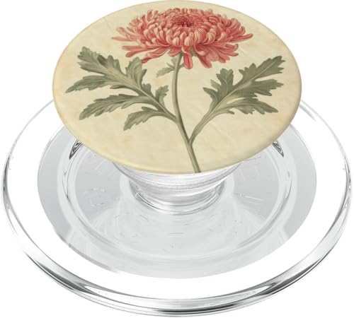 Chrysanthemen Floral Vintage Wissenschaftliche Illustration Blume PopSockets PopGrip für MagSafe Chrysanthemen Floral Vintage Wissenschaftliche Illustration Blume PopSockets PopGrip für MagSafe von Antique Flower Botanical Garden Floral DonaOnca
