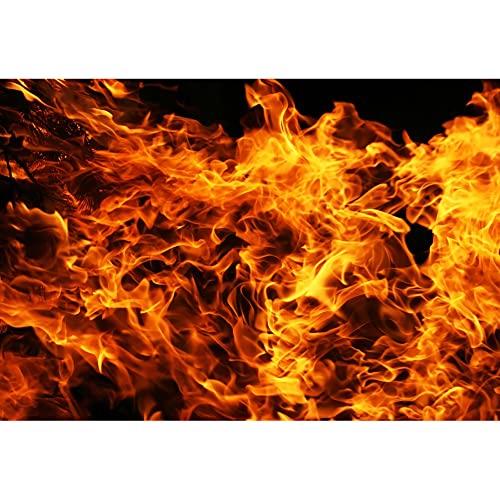 Aoihrraan 2,7x1,8m Brennen Feuer Hintergrund Flammend Feuer Flammend Wütend Flamme Dunkel Freudenfeuer Fotografie Hintergrund Lagerfeuer Party Outdoor Camping Reisen Grillen Kind Erwachsene Foto Prop Aoihrraan 2,7x1,8m Brennen Feuer Hintergrund Flammend Feuer Flammend Wütend Flamme Dunkel Freudenfeuer Fotografie Hintergrund Lagerfeuer Party Outdoor Camping Reisen Grillen Kind Erwachsene Foto Prop von Aoihrraan